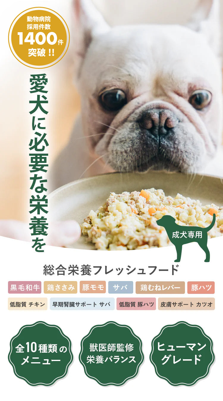 愛犬に必要な栄養を / Buddy FOOD