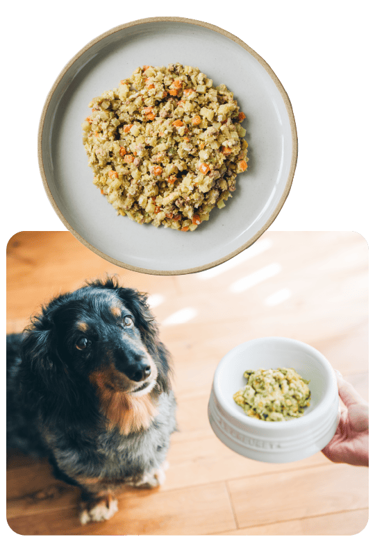 buddy food