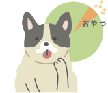 愛犬にしっかりごはんを食べてもらうには？①