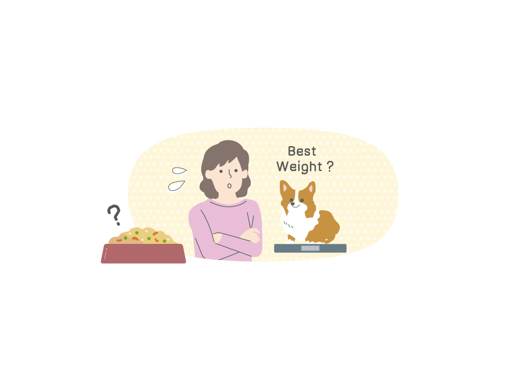 ダイエットしたいとき、どうする？