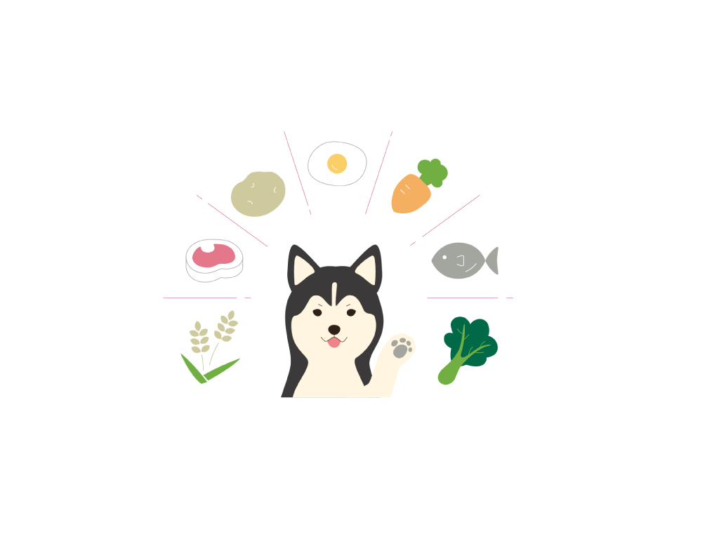 「肉が多い＝良い食事」という思い込みは危険！