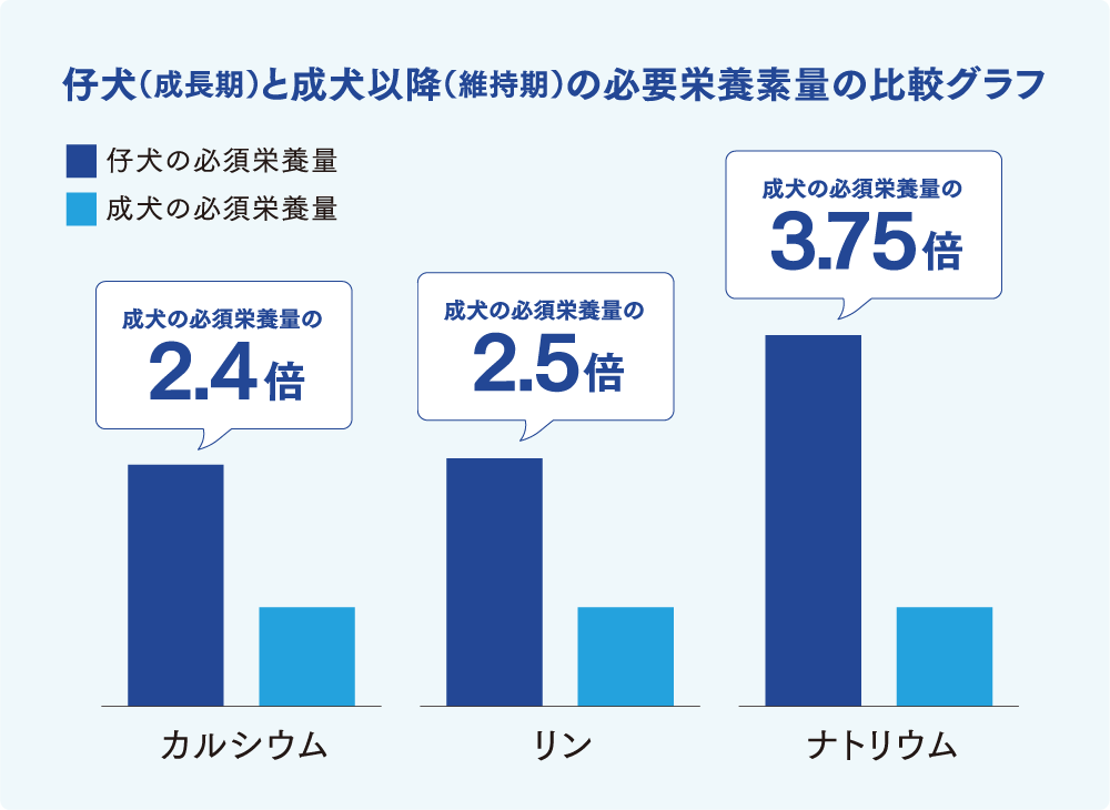 成犬と仔犬の栄養素の違い