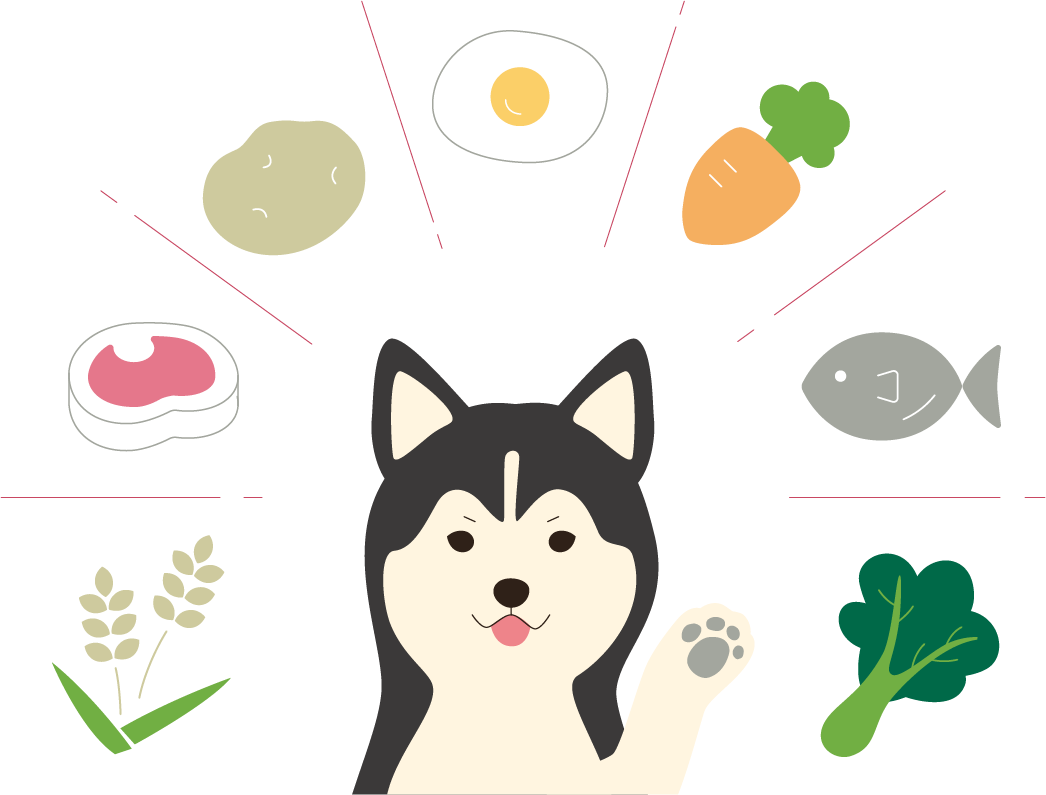 「肉が多い＝良い食事」という思い込みは危険！