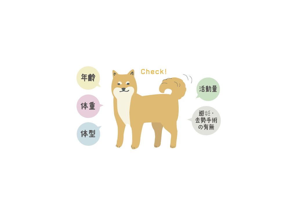 愛犬の1日のごはんの量、どうやって把握する？②