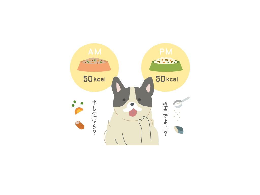 犬の食事カロリーの計算方法と管理のポイント①