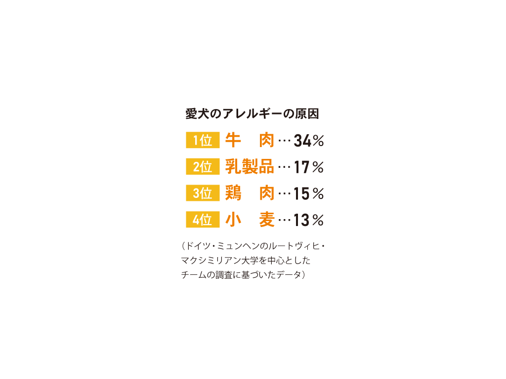 近年増えている「グレインフリー」って?
