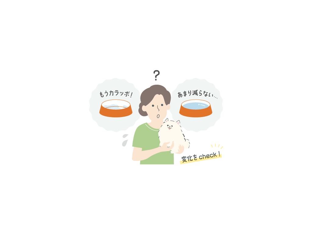 愛犬の飲水量について気を付けることは？③