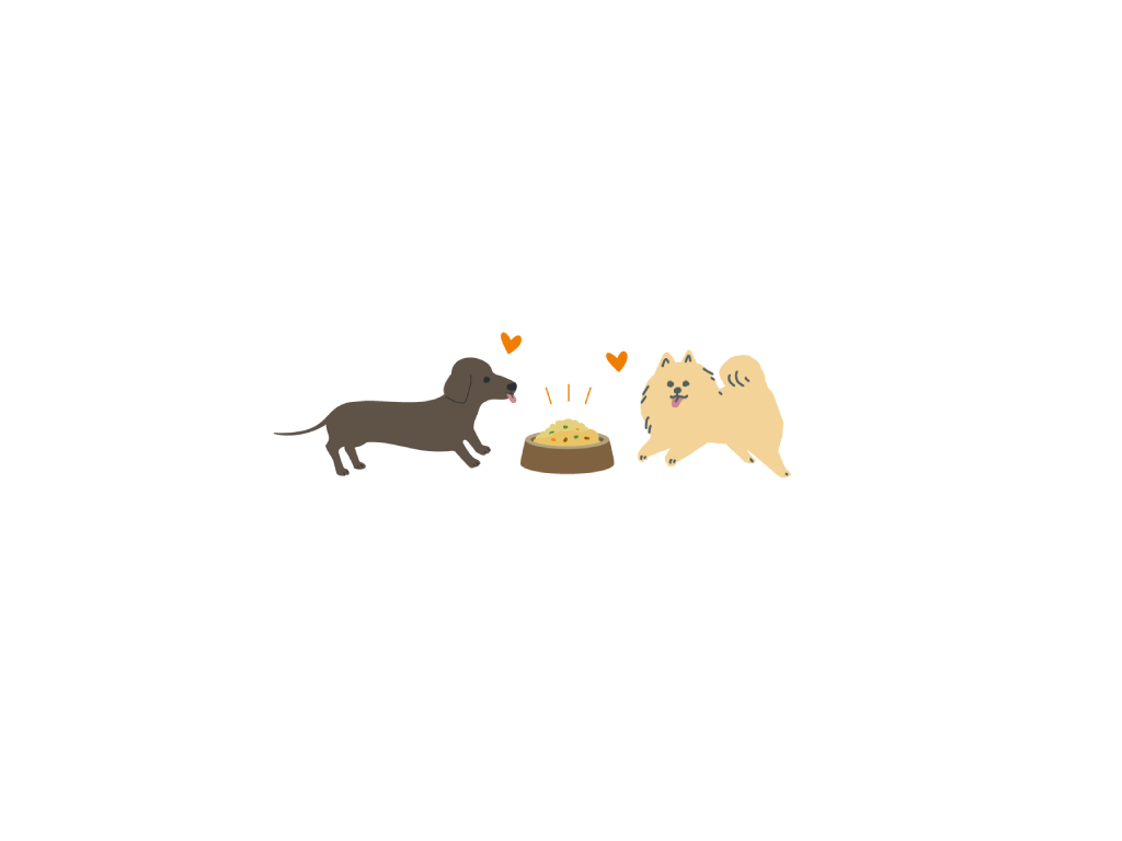 愛犬にしっかりごはんを食べてもらうには？②