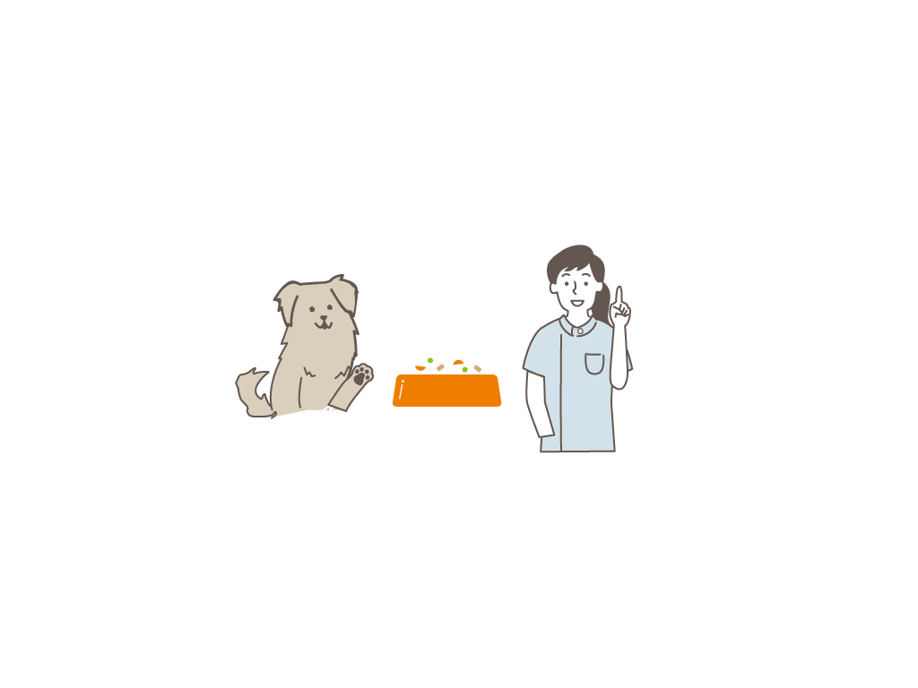 Q.愛犬の腎臓病、どんな病気?