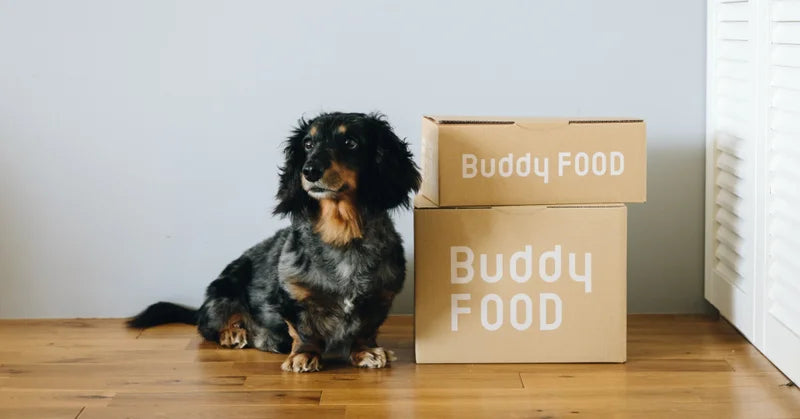 Buddycareのクレド（行動指針）