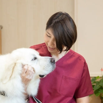 石田美紀院長 アニモ動物クリニック(福岡県行橋市)