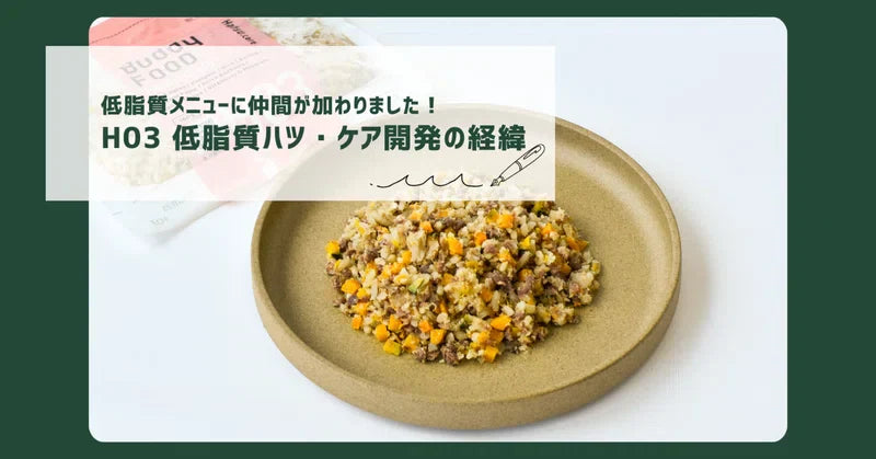 低脂質メニューに仲間が加わりました！