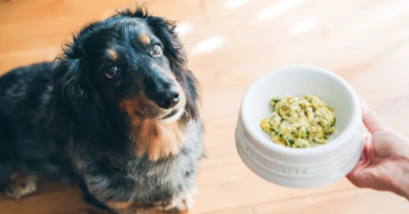 お客様サポートの中でよくお伺いするお悩みやご不安