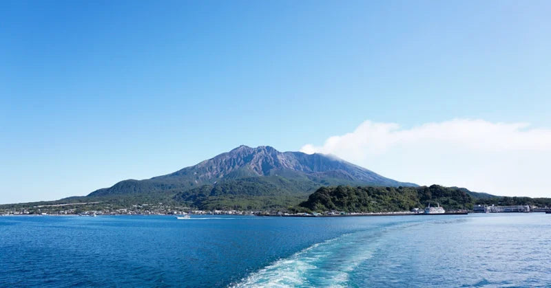 Buddycareはなぜ鹿児島を拠点にしているのか？