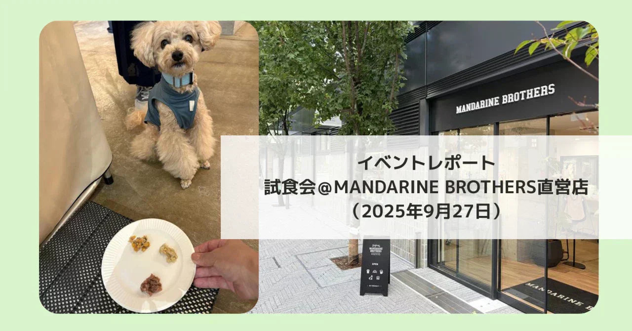 MANDARINE BROTHERS でBuddyFOOD試食会を開催しました！