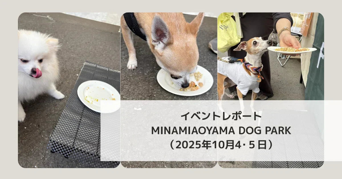 🌿MINAMIAOYAMA DOG PARK イベントレポート🐾