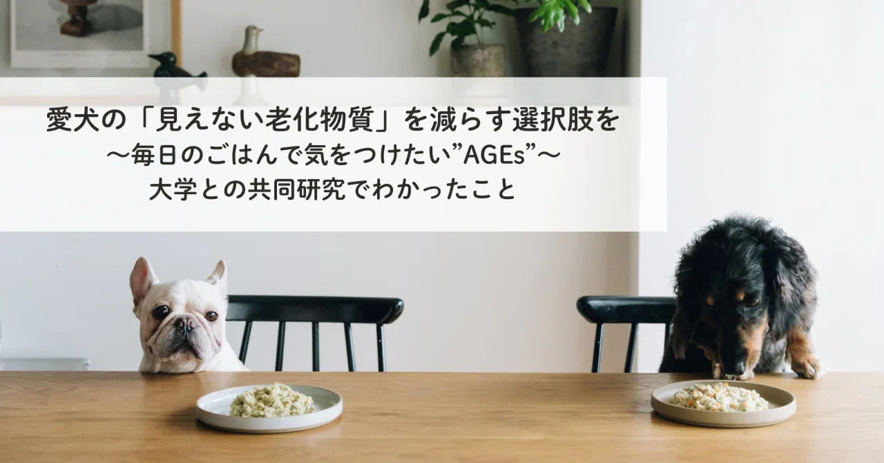 愛犬の「見えない老化物質」を減らす選択肢を