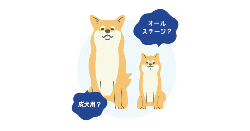 なぜバディフードはオールステージではなく成犬専用なのか？
