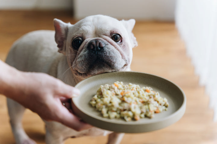 【Buddy FOOD（バディフード）とは】