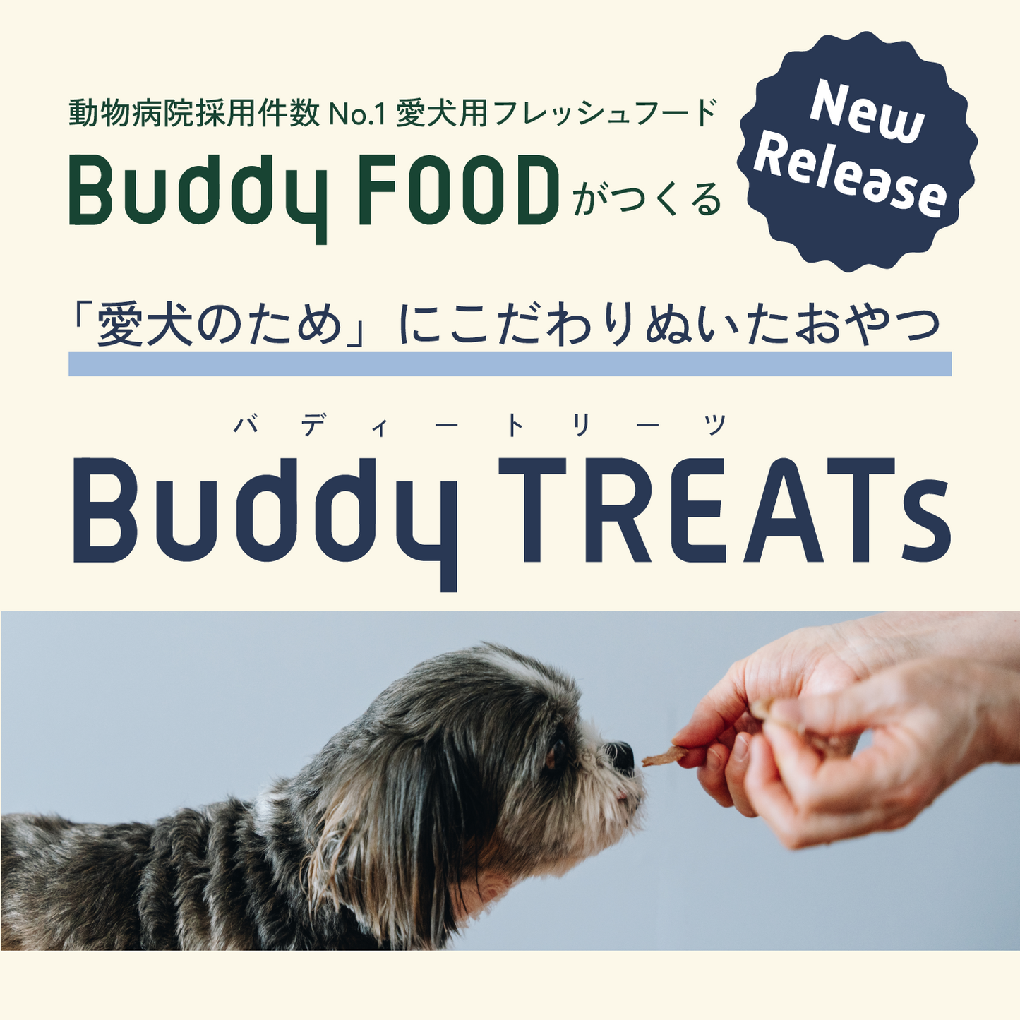 Buddy TREATs