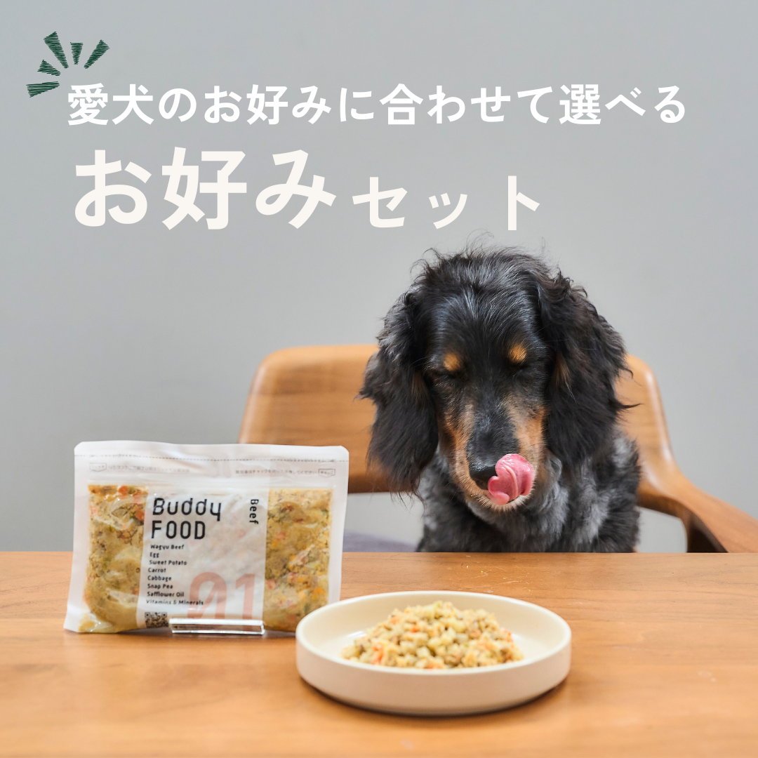 お好みセット！（送料無料）