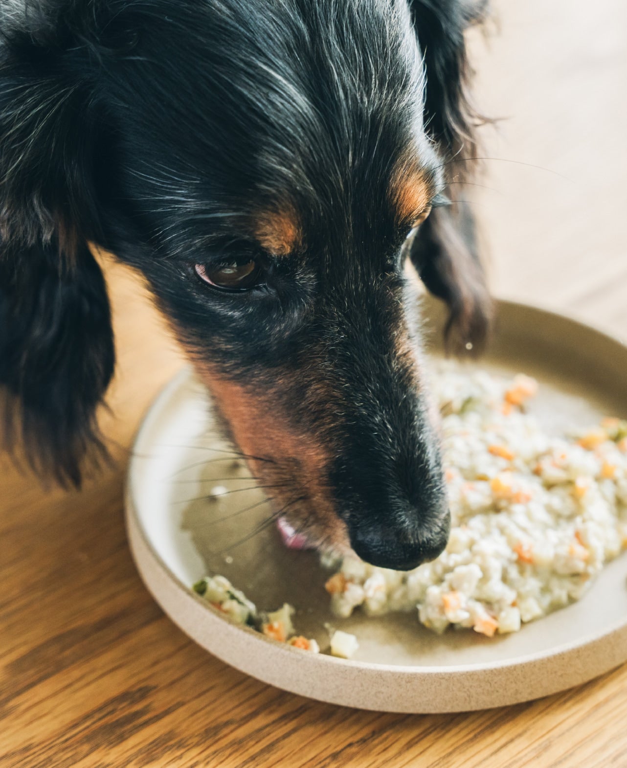 愛犬にも、ほんとうに安心できるごはんを。成犬専用の、国産食材を使用したフレッシュフード Buddy FOOD