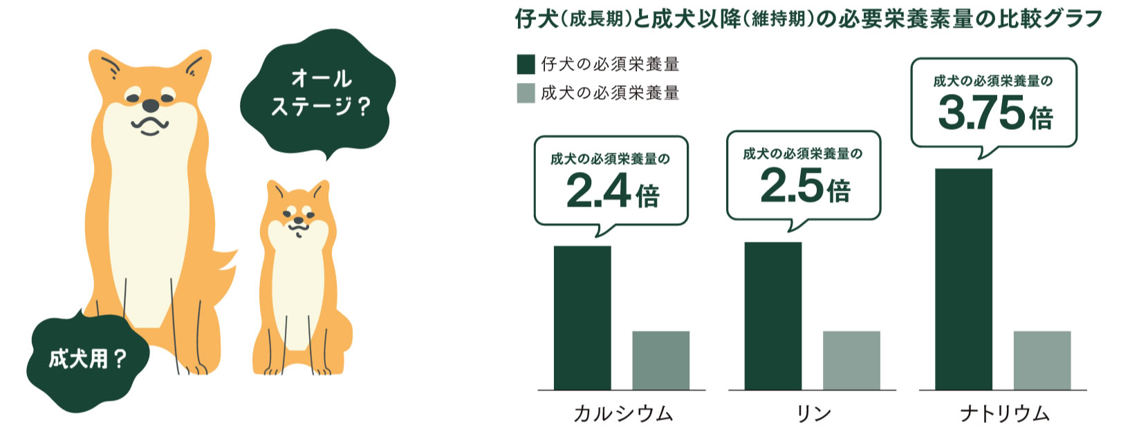 仔犬と成犬以降の必要栄養素量の比較グラフ