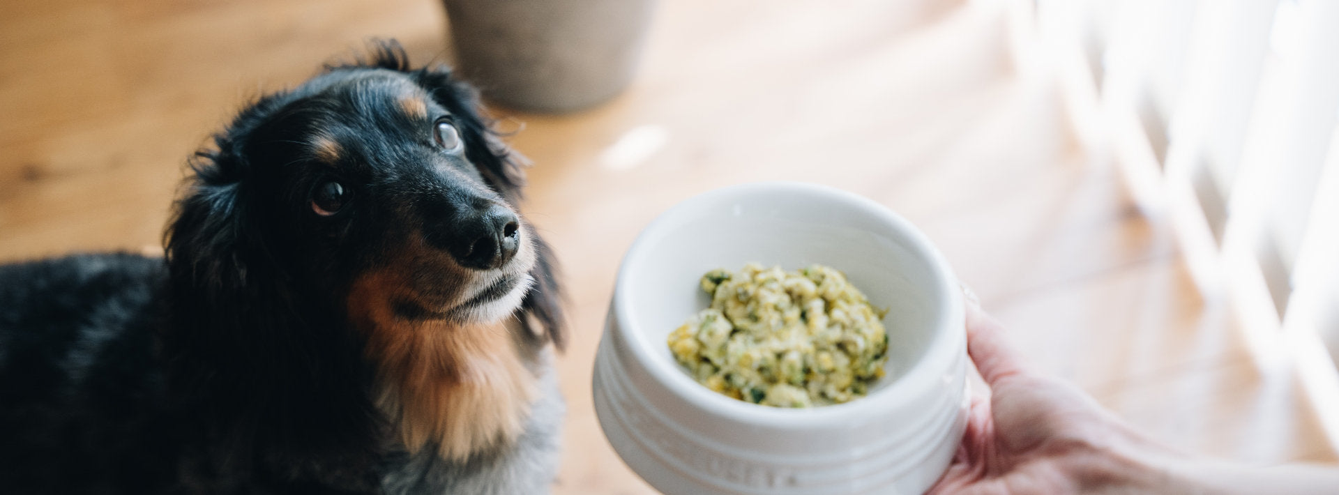 Buddy FOOD 常温保管タイプ