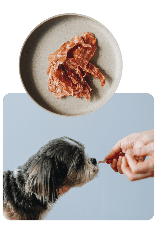 Buddy TREATs